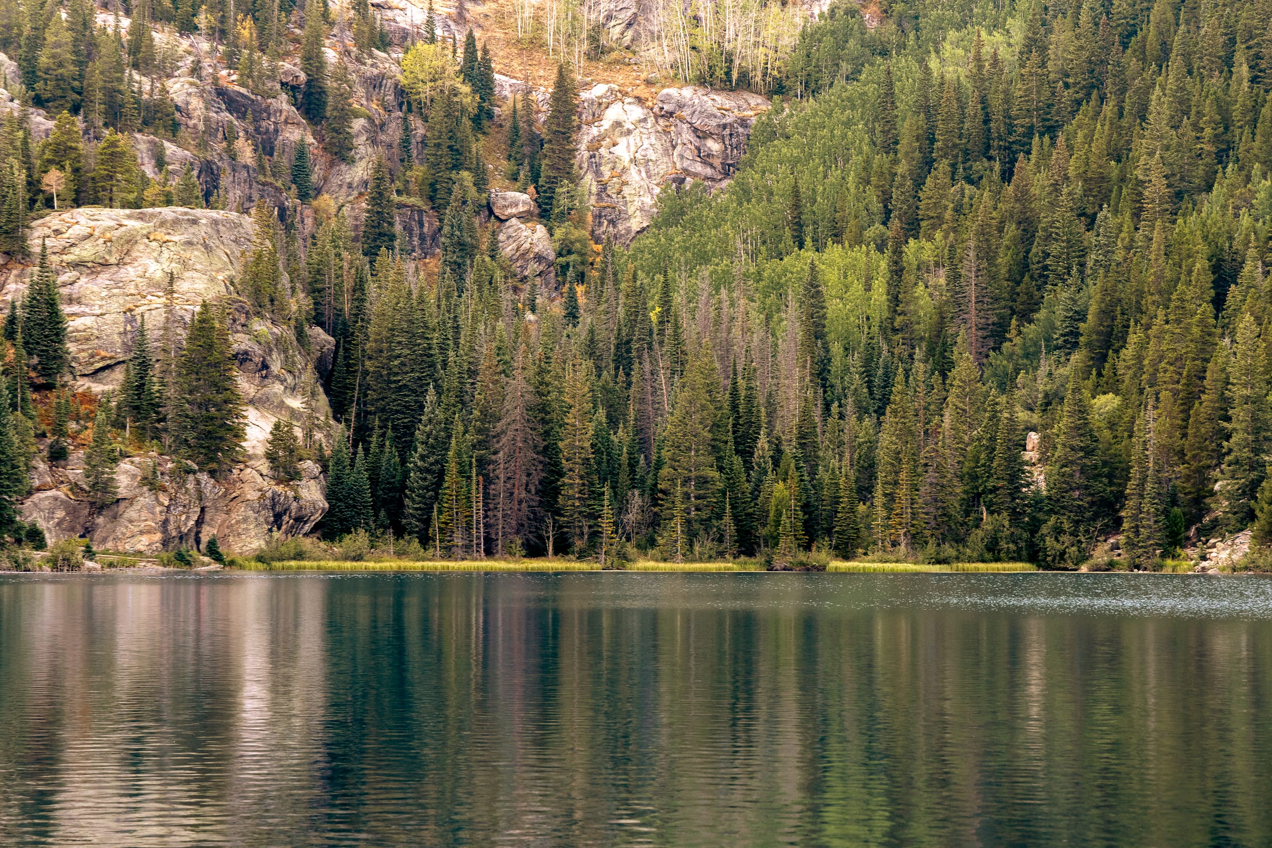 Evergreen forest and rocky cliffs reflected in a lake