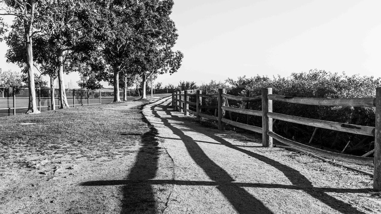 Fences, Shadows, and People