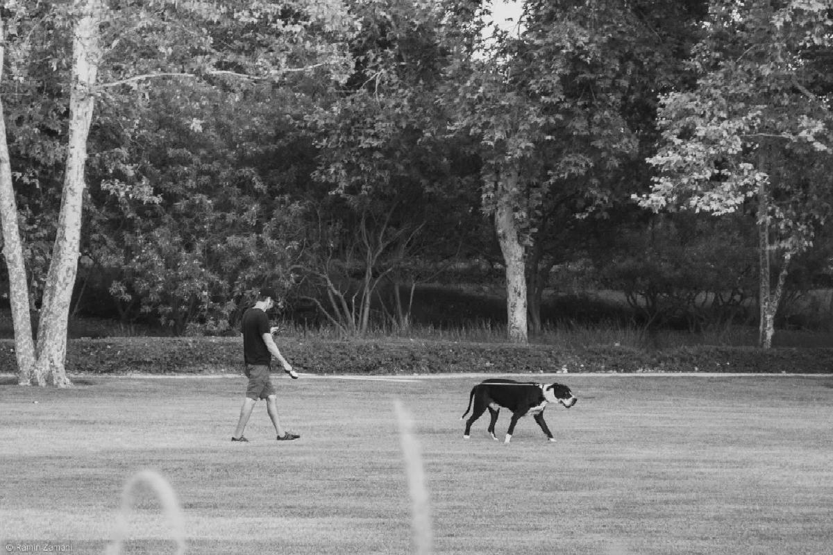 Jeffrey Trail Irvine