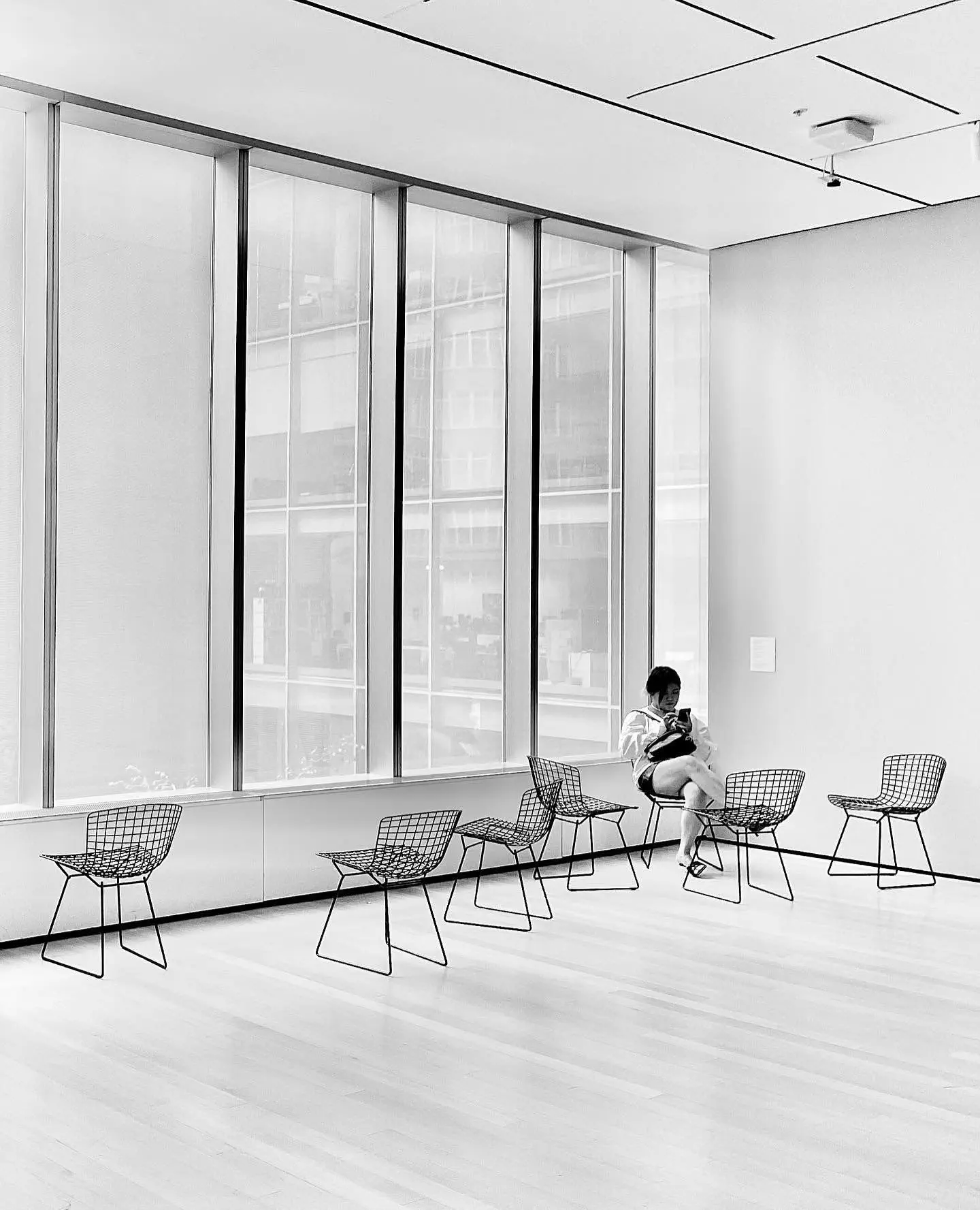 MOMA Museum of Modern Art NY