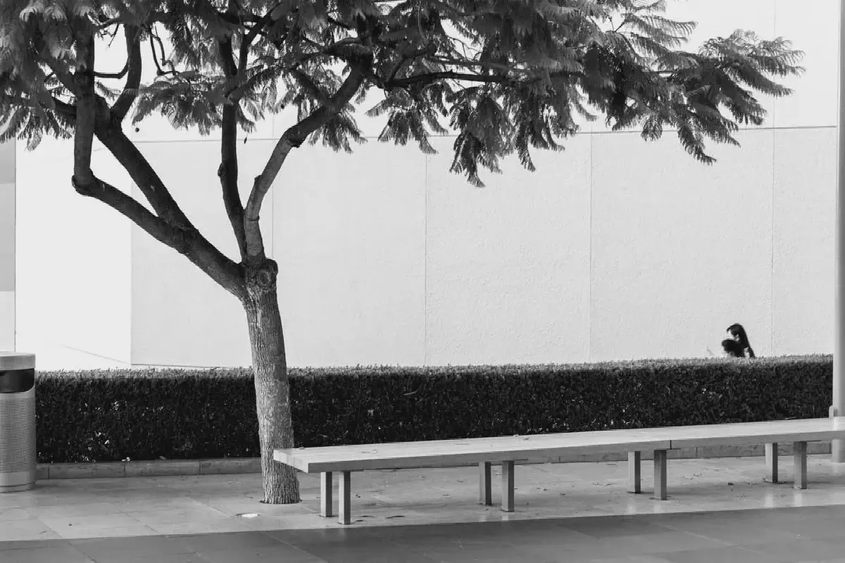 South Coast Plaza