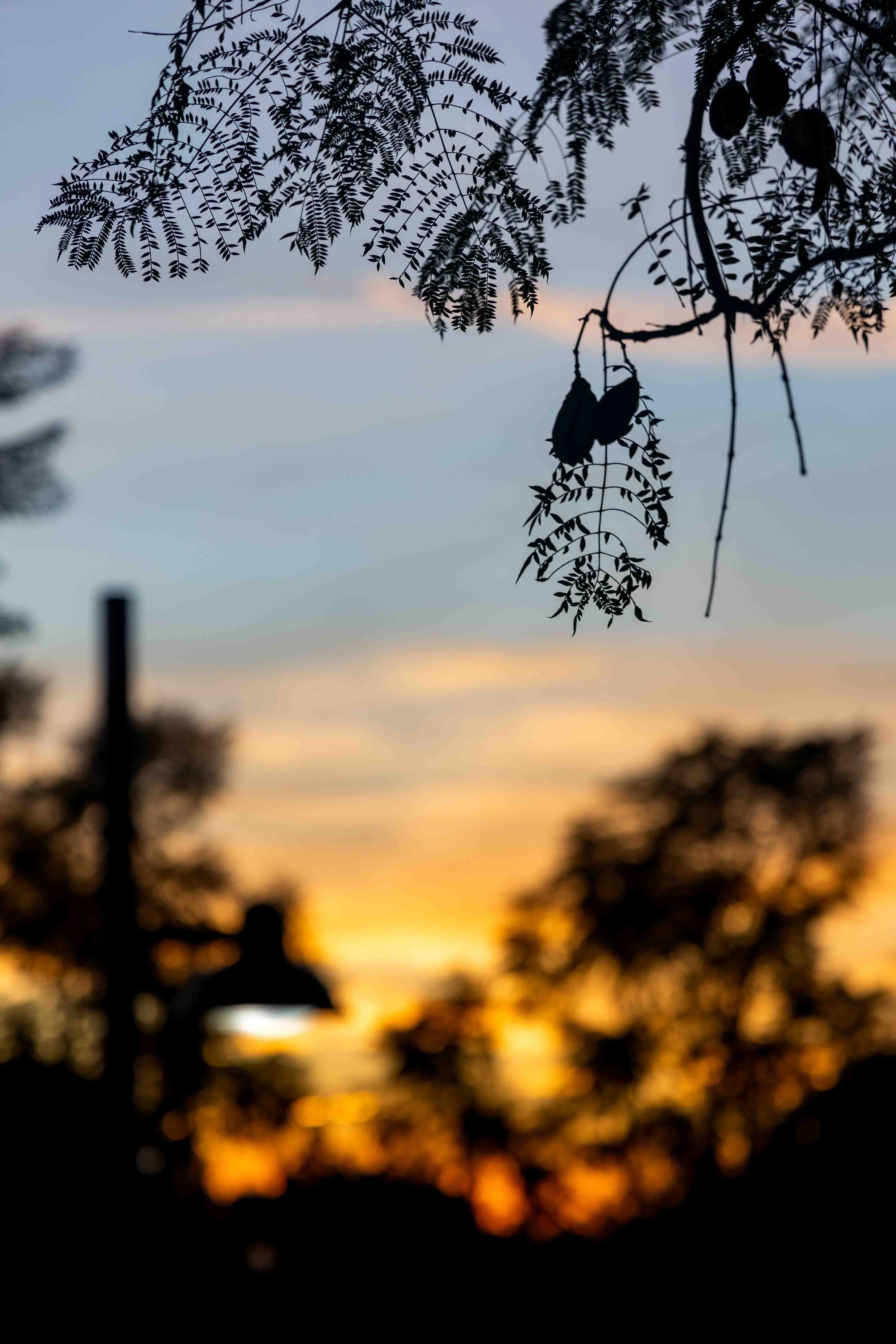 Sunset at Pavilion Park