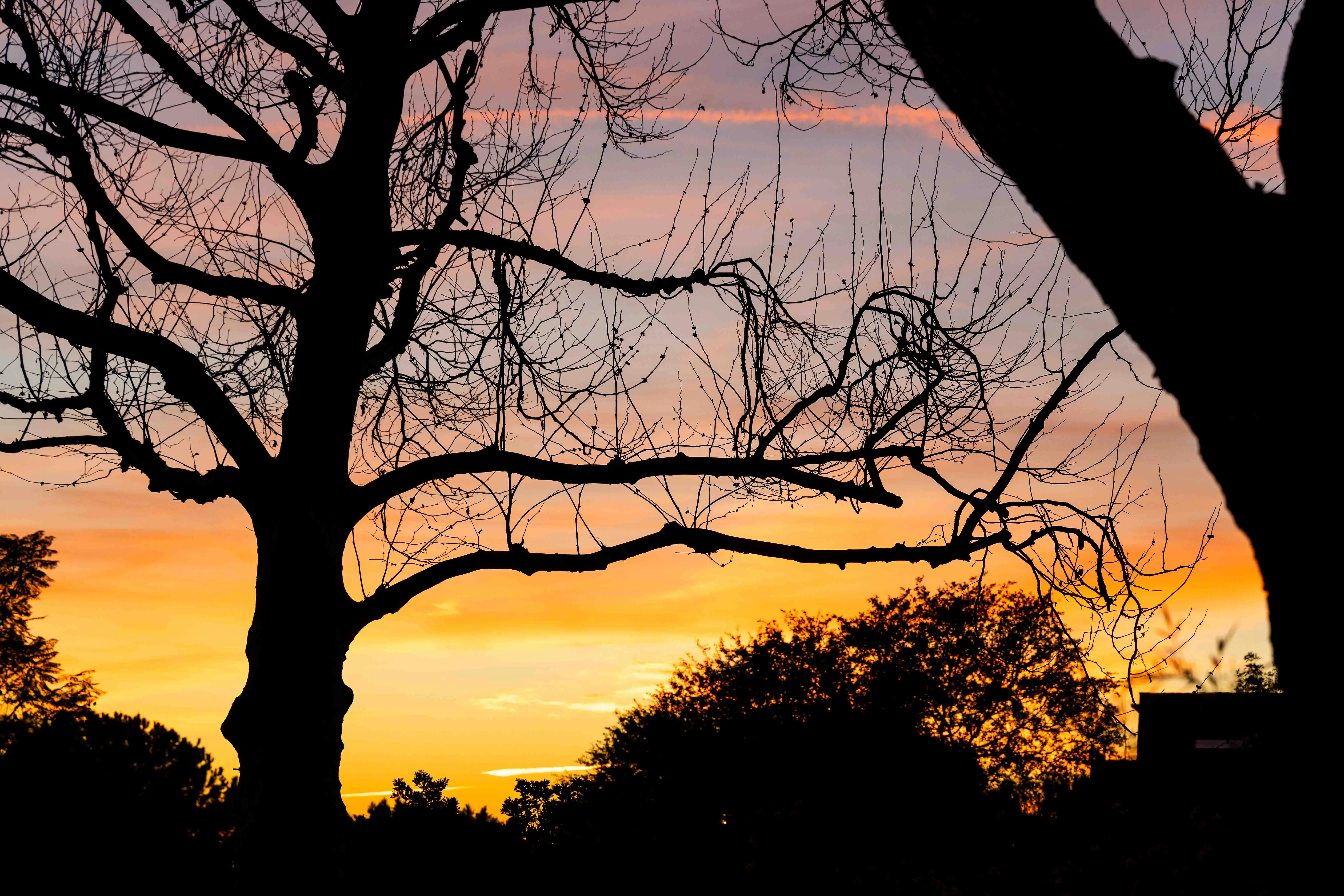 Sunset at Pavilion Park