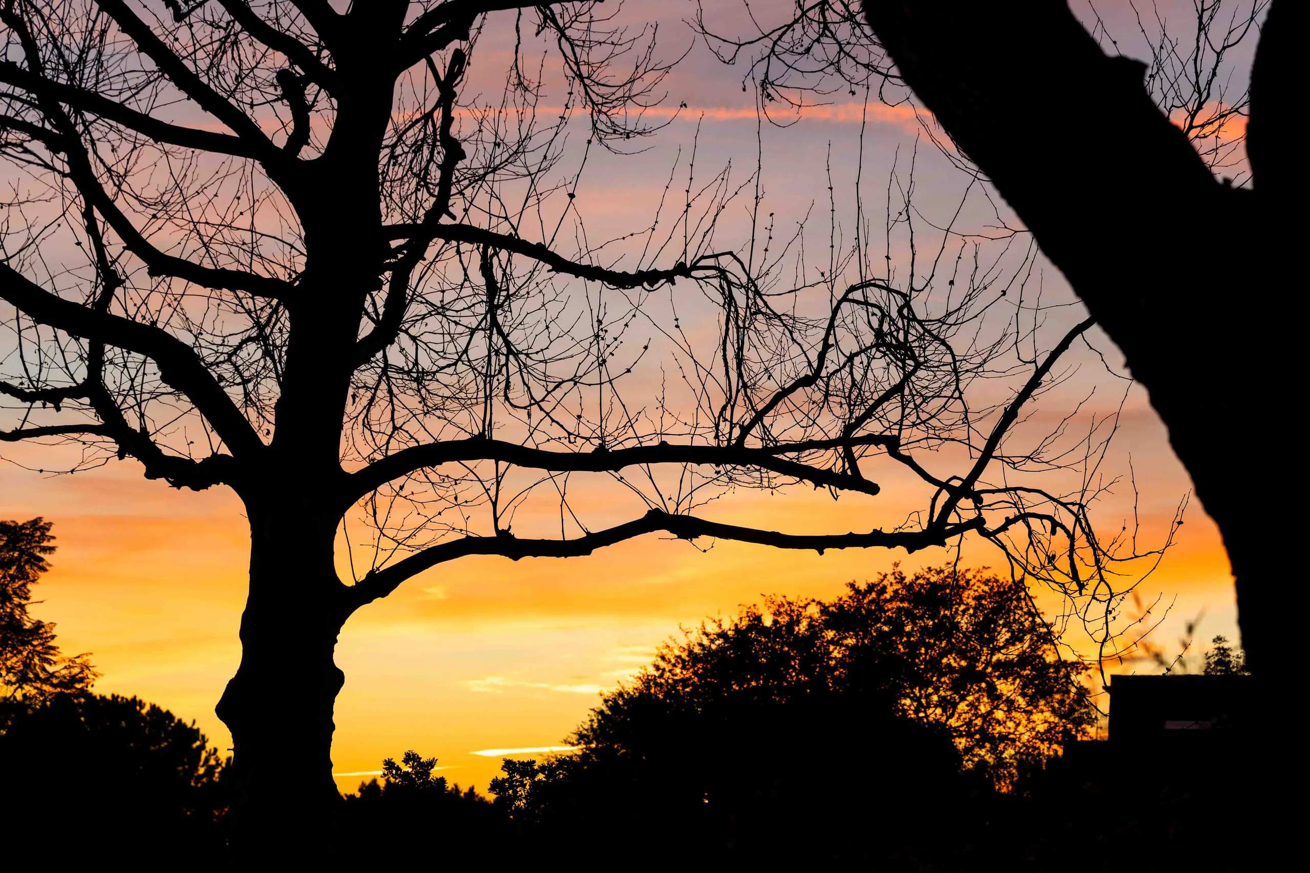 Sunset at Pavilion Park