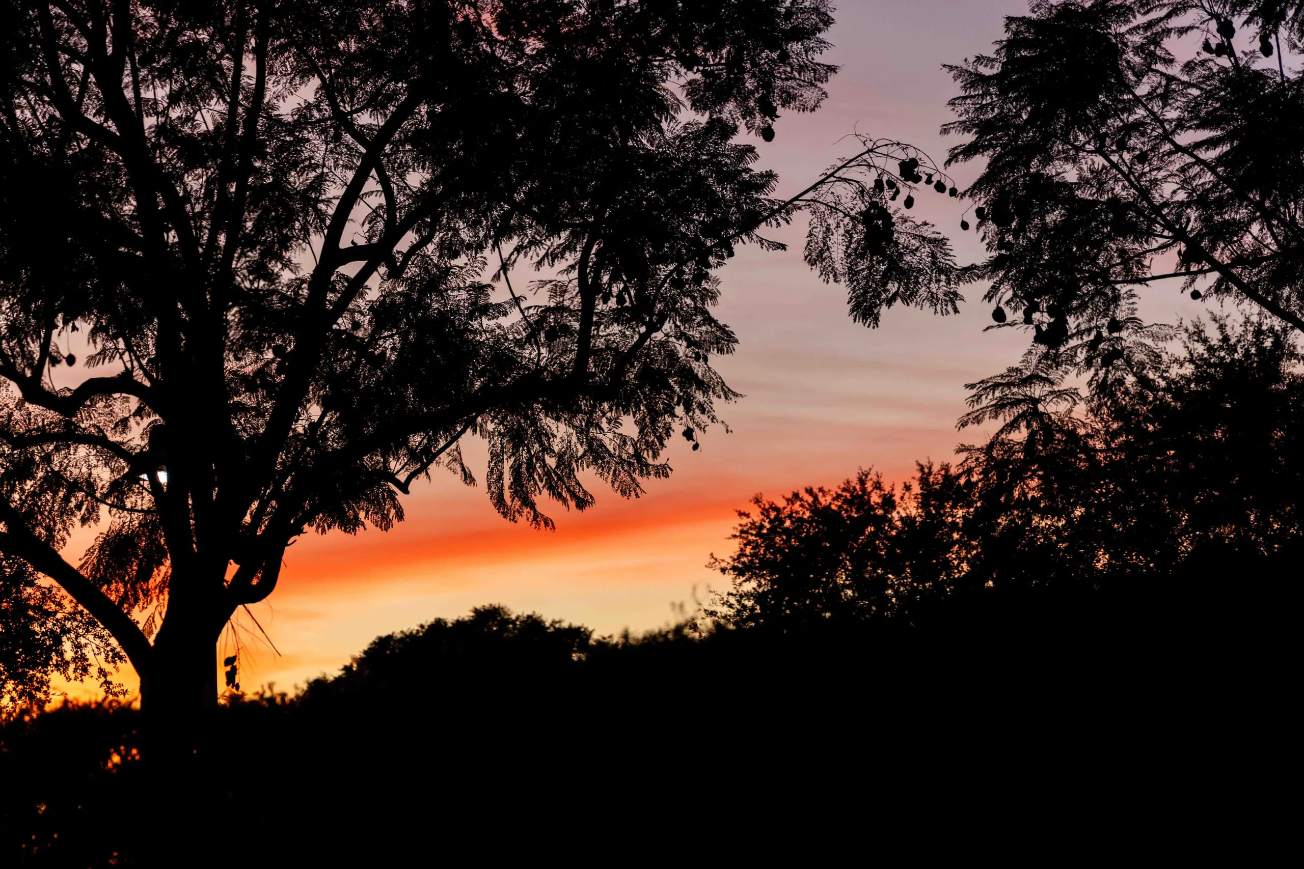 Sunset at Pavilion Park