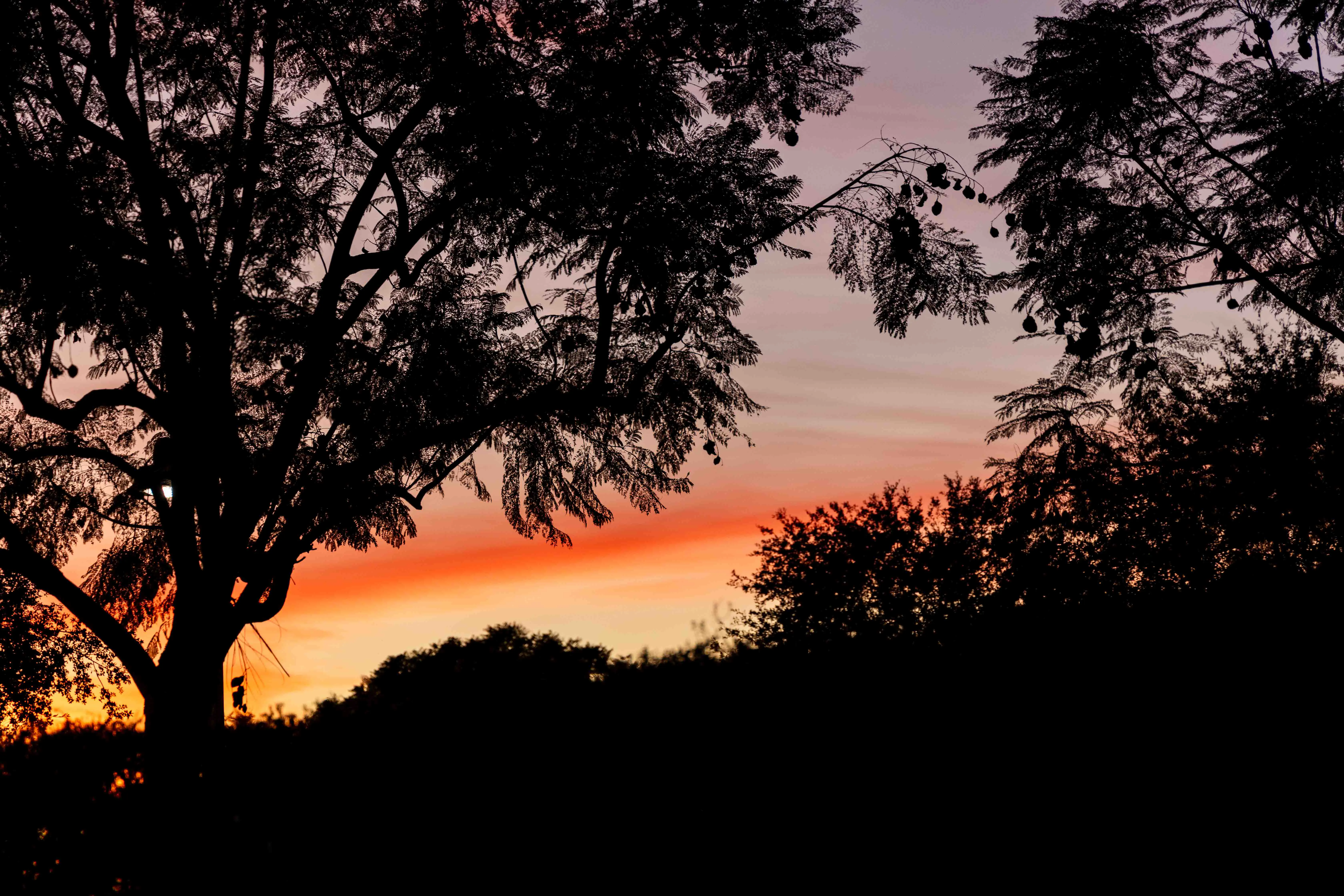 Sunset at Pavilion Park