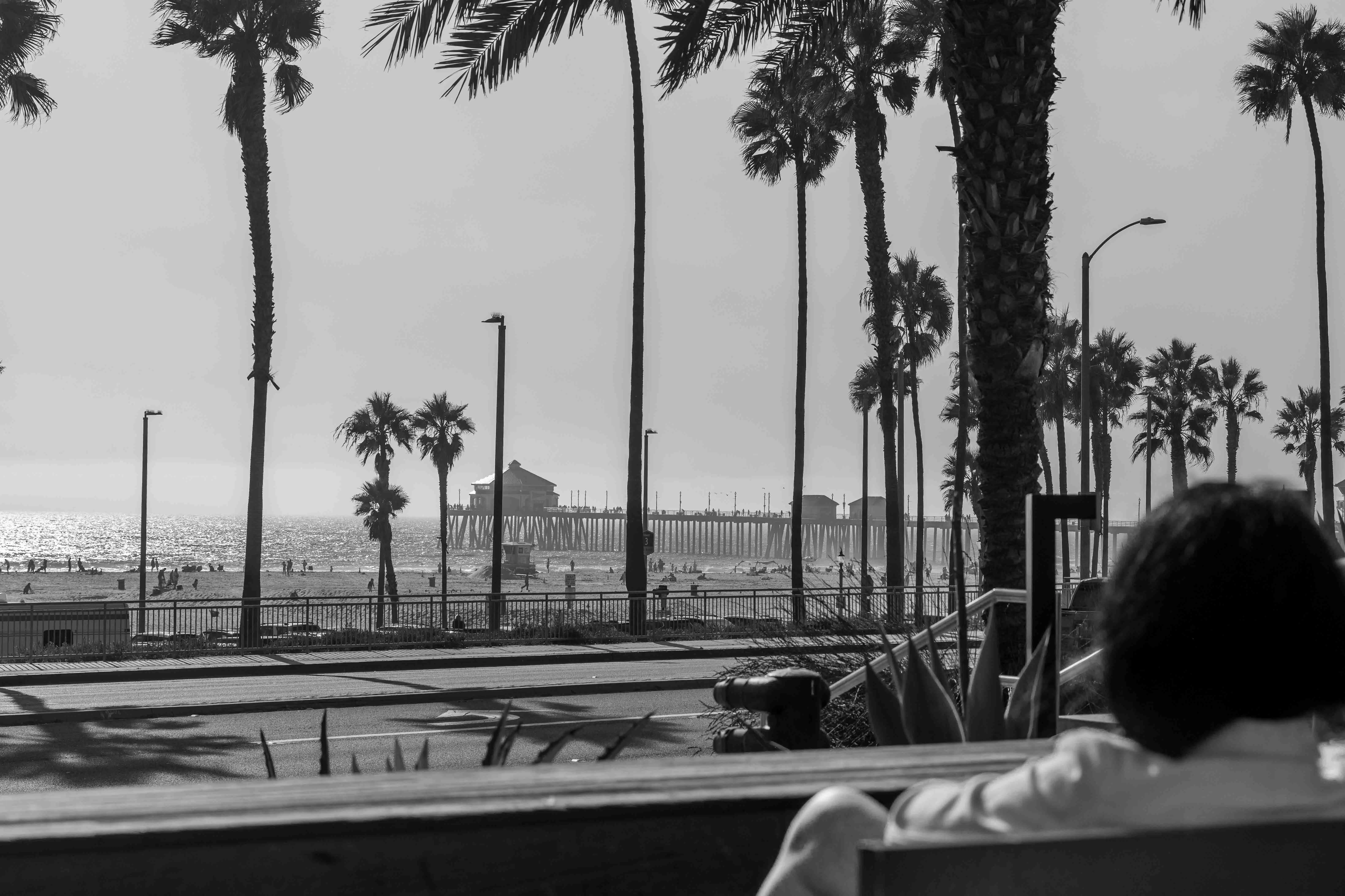 Surf City Surfers