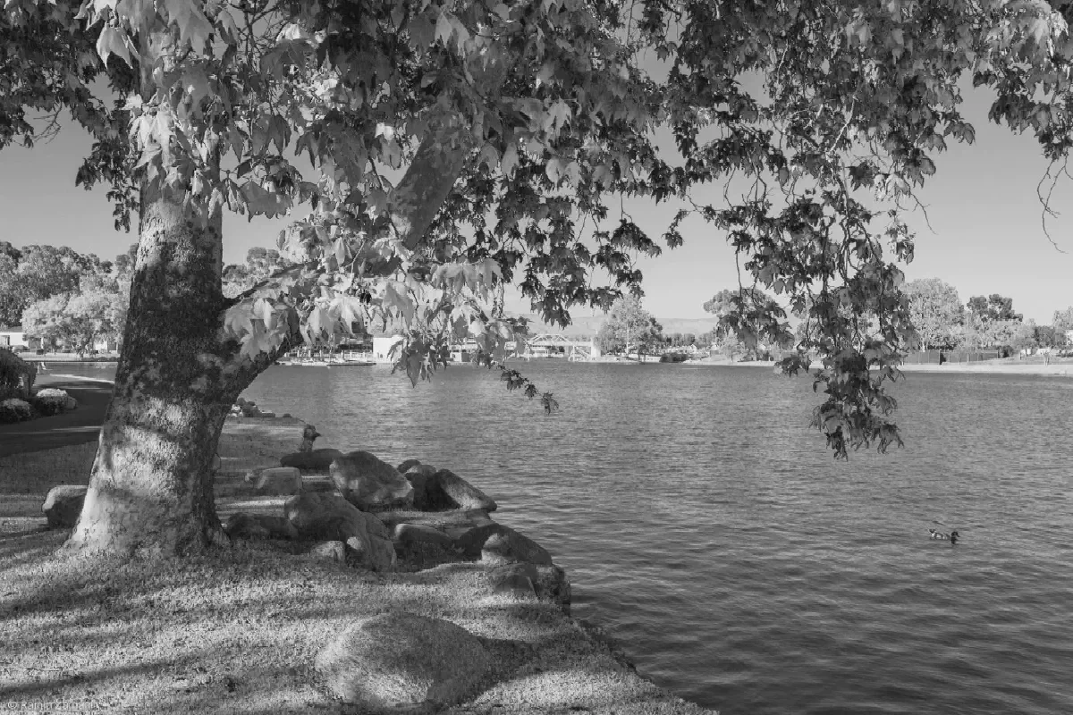 Woodbridge Lake Irvine